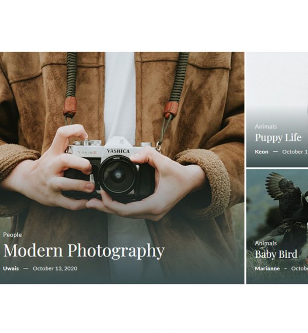 Magazin Grid Sample 1