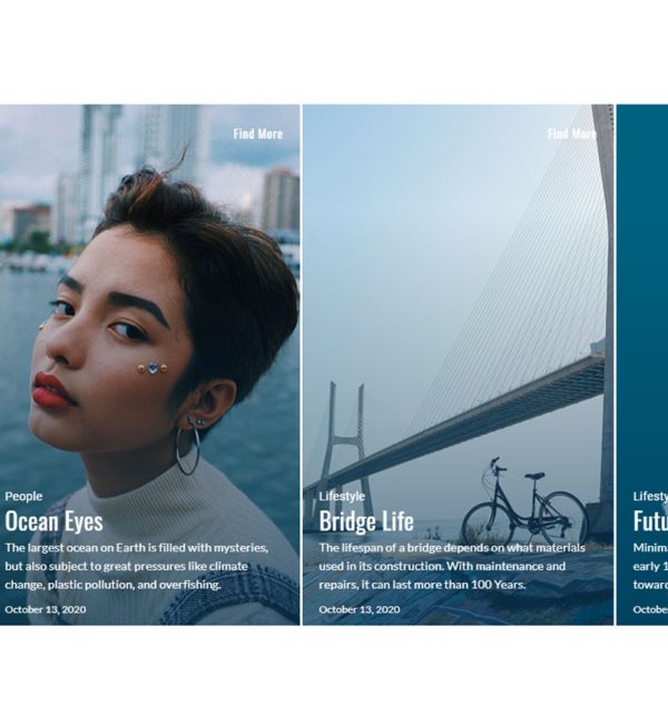 Magazin Grid Sample 11