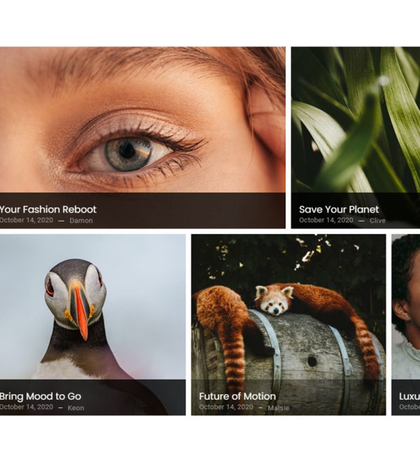 Magazin Grid Sample 9