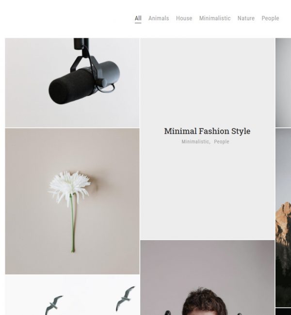 Portfolio Sample 8