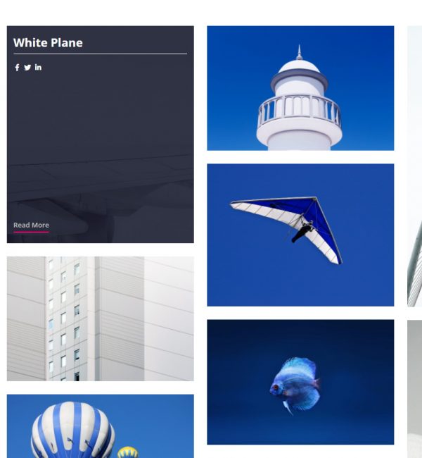 Portfolio Sample 12