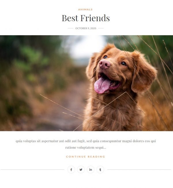 Blog Sample 2
