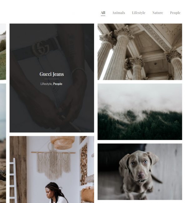 Portfolio Sample 13