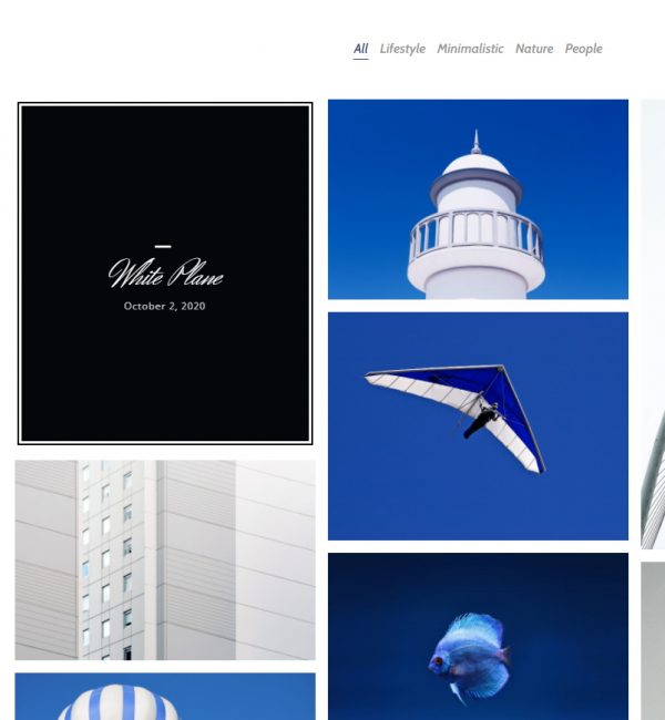 Portfolio Sample 2