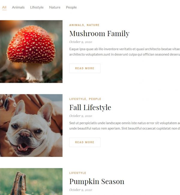 Blog Sample 6