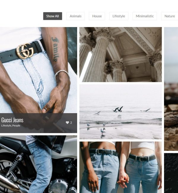 Portfolio Sample 4