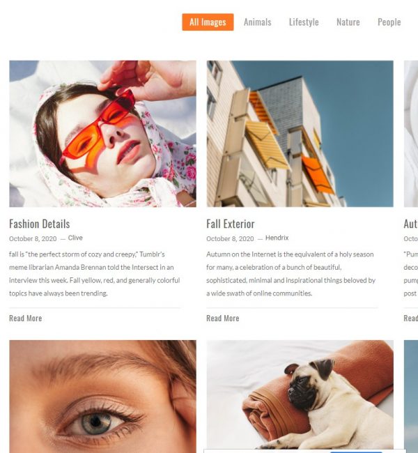 Blog Sample 1