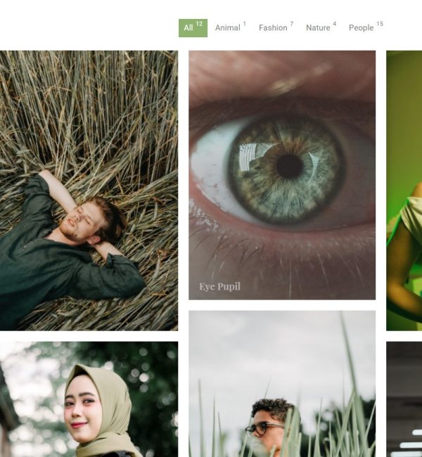 Gallery Sample 2