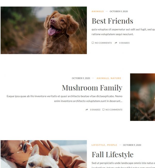 Blog Sample 7