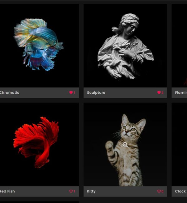 Gallery Sample 3