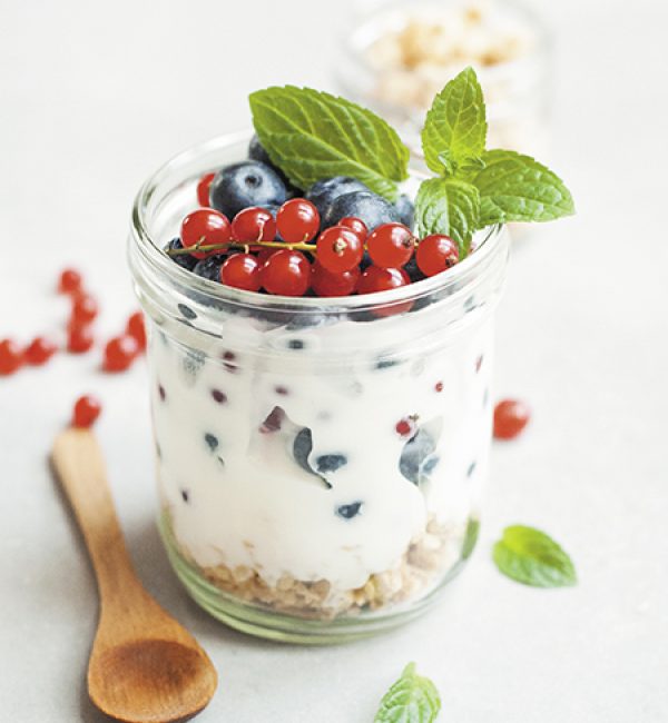 Chia WIT Fruit Pudding