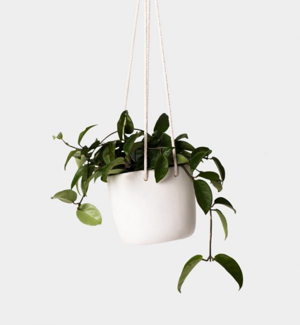 White Pot