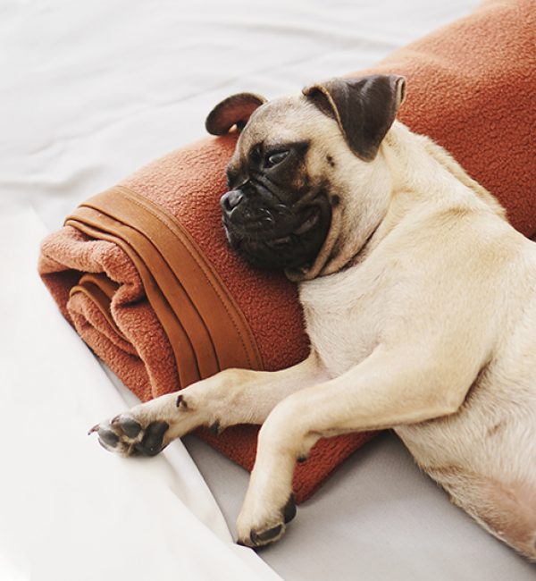 Lazy days