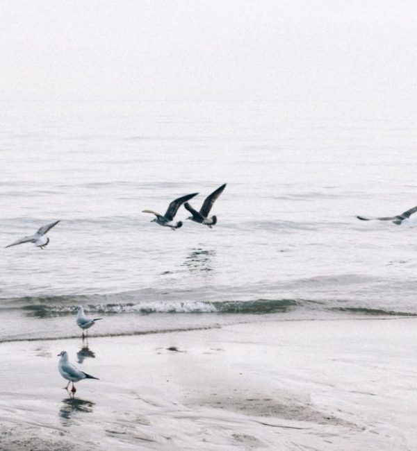 Beach Memories