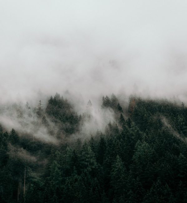 Gloomy Days