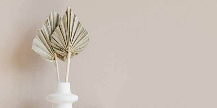 Green Book Holder
