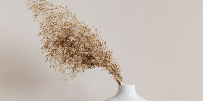 Curvy Vase