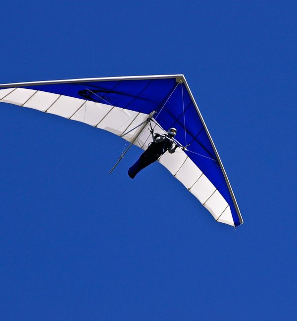 Blue Deltaplan