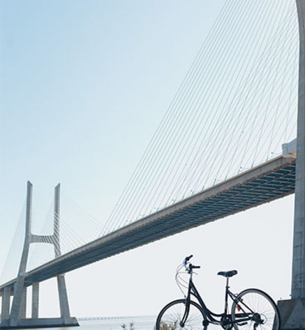 Bridge Life
