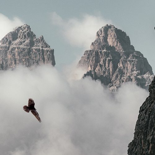 Power of Freedom